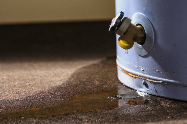 Best Commercial water damage restoration  in Crainvle, IL