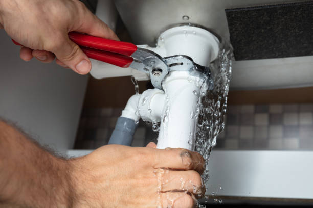 Best Water damage contractors near me  in Crainvle, IL