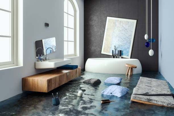 Best Emergency water damage restoration  in Crainvle, IL