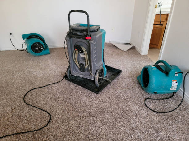 Best Carpet water damage restoration  in Crainvle, IL