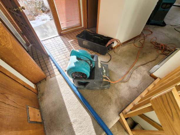  Crainvle, IL Water damage restoration Pros