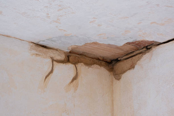 Best Residential water damage restoration  in Crainvle, IL