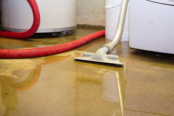 Best Water damage restoration near me  in Crainvle, IL