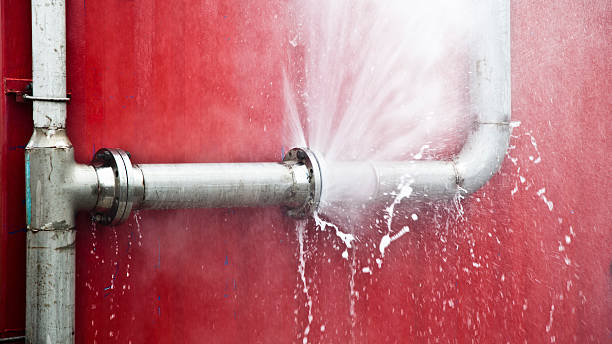 Best 24-hour water damage restoration  in Crainvle, IL