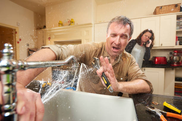 Best Local water damage restoration  in Crainvle, IL